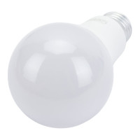 Светодиодная лампа General Lighting Systems WA67-25W-E27-690300