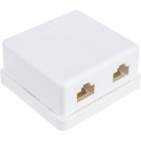 Настенная розетка NETLAN 2 порта, категория 5e, RJ45/8P8C, неэкранированная, белая, EC-UWO-2-UD2-WT-10