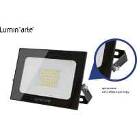Светодиодный прожектор Lumin'arte LED 50Вт 5700K холодный белый свет 3750лм черный IP65 LFL-50W/05