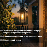 Светильник уличный шестигранник TDM ELECTRIC, 60Вт, подвес, черный SQ0330-0005