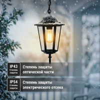 Светильник уличный шестигранник TDM ELECTRIC, 60Вт, подвес, черный SQ0330-0005