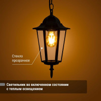 Светильник уличный шестигранник TDM ELECTRIC, 60Вт, подвес, черный SQ0330-0005