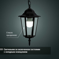 Светильник уличный шестигранник TDM ELECTRIC, 60Вт, подвес, черный SQ0330-0005
