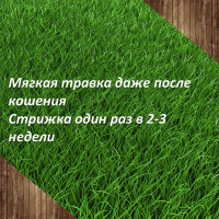 Газон для ленивых 2 кг, смесь семян медленнорастущих трав Лилипут 4607160330020