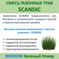 Семена газона Зеленый Ковер SCANDIC 0.9 кг для быстрого создания практичной зеленой лужайки 4607160332956