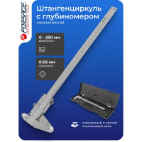 Штангенциркуль Forsage в пластиковом футляре F-5096P3(18015)