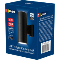 Светильник Uniel ULU-S22B-2x3W/4000K, IP65, BLACK, светодиодный, уличный UL-00006802