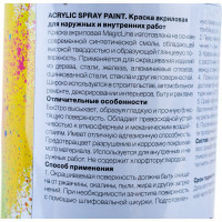 Лак RUNWAY глянцевый 265г 400