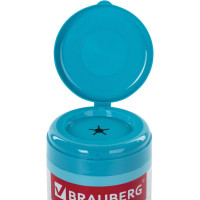 Антибактериальные салфетки для бытовой и оргтехники плотные BRAUBERG 13x17см, 100шт 513477