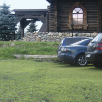 Газонная решетка Gidrolica 600х600х40 мм, пластиковая, черная 606