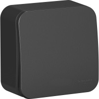 О/У 1-клавишный ВЫКЛЮЧАТЕЛЬ Systeme Electric ( Schneider Electric) BLANCA cх.1, 10А, 250B, АНТРАЦИТ BLNVA101006