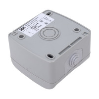 Кнопочный выключатель IEK ВС-20-1-3-A, открытой установки, 10А, IP54, AQUATIC EVA14-K03-10-54