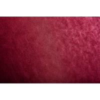Диск шлифовальный самоклеющийся (230 мм; P220) для BP-150 PROMA 60606122