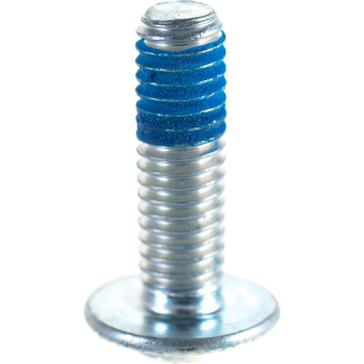 Bosch винт с головкой torx 1613490010