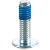 Bosch винт с головкой torx 1613490010
