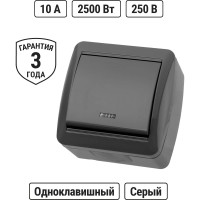 Выключатель одноклавишный накладной с подсветкой, серый IP44 TDM ELECTRIC 10А серия "Селигер" SQ1818-0103