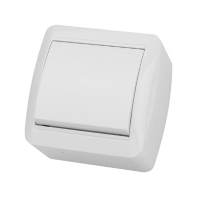 1-клавишный выключатель TDM ELECTRIC открытой установки IP44 10А белый "Селигер" SQ1818-0001