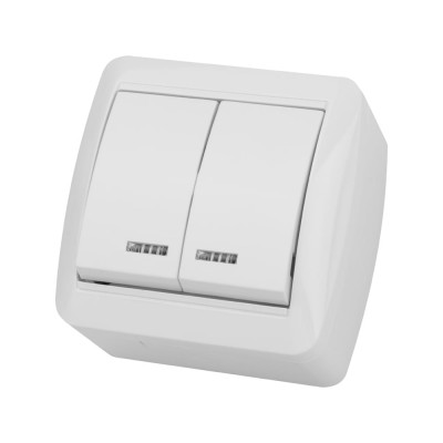 Выключатель с подсветкой накладной двухклавишный, белый IP44 TDM ELECTRIC 10А, серия "Селигер" SQ1818-0004