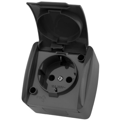 Розетка с крышкой накладная с заземлением TDM ELECTRIC серая 2П IP54 16А серия "Селигер" SQ1818-0113