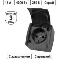 Розетка с крышкой накладная с заземлением TDM ELECTRIC серая 2П IP54 16А серия "Селигер" SQ1818-0113