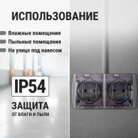 Двойная розетка TDM ELECTRIC 2П+3 открытой установки IP54 16А с прозрачной крышкой серая "Селигер" SQ1818-0109