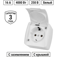 Розетка TDM ELECTRIC 2П+3 открытой установки IP54 16А с крышкой белая "Селигер" SQ1818-0013