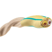 Двухжильный провод Interior Electric ПВХ, сечение 2*1,5 цвет слоновая кость 10м ПРВ2.15.03.10.СЛ