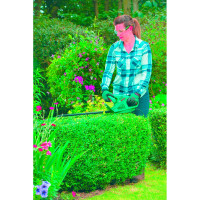 Электрический кусторез Bosch EasyHedgeCut 45 0600847A05