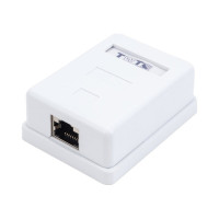 Настенная розетка 1 порт RJ-45, категория 6, экранированная, белая, TWT-SM1-45/S6-WH