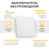 Двухклавишный выключатель дистанционного управления FERON 250V 500W TM82 41129