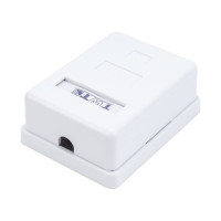 Настенная розетка 1 порт RJ-45, категория 6, экранированная, белая, TWT-SM1-45/S6-WH