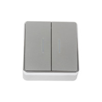 Двухклавишный выключатель с подсветкой WERKEL W5020106 Gallant серебряный a052770