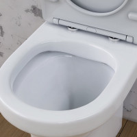 Унитаз-компакт Damixa Skyline безободковый, с сиденьем микролифт DX35C8600SC