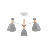Потолочный светильник Freya, Delia FR5033CL-03W