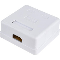 Компьютерная розетка Netlink FD-6166 2хRJ-45 8р-8с 5 кат 00000000425