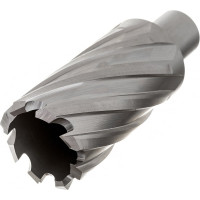 Сверло корончатое HSS по металлу (33х55/88 мм; Weldon 19) D.BOR CD-HSS-055-033-W