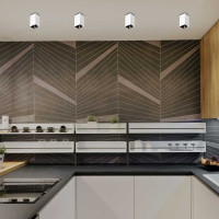 Светильник JazzwayPDL-S 14074 под лампу GU10 IP20 230В ДПО накладной WH/BL 5031449