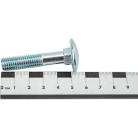 Болты Госкреп DIN603 М10х50 2 шт 12-0016080
