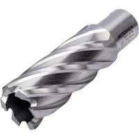 Фреза кольцевая HSS (24x55 мм; Weldon 19) ROTORICA RT.4215024