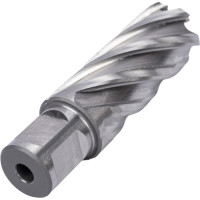 Фреза кольцевая HSS (24x55 мм; Weldon 19) ROTORICA RT.4215024