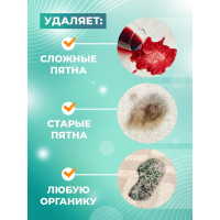 Щелочной концентрат для очистки сложных загрязнений на коврах и мебели МАСТЕРХИМ ФОРТЕКС 5 кг 044ЩБп5