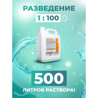 Щелочной концентрат для очистки сложных загрязнений на коврах и мебели МАСТЕРХИМ ФОРТЕКС 5 кг 044ЩБп5