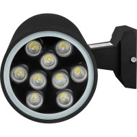 Светодиодный светильник Jazzway архитектурный PWL-200110/30D 1х9Вт 6500К BL 230В/50Гц IP65 черный 2857965B