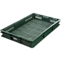 Ящик с перфорацией Тара.ру п/э 600х400х75  зелёный 06849