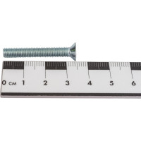 Винт с потайной головкой ВИРТУОЗ DIN965 5 х 35, 10 шт 21861