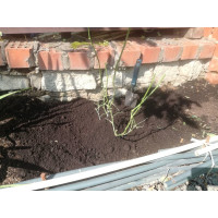 Укрытие для роз Удачный сезон Зимний домик 50 см 1055