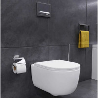 Подвесной унитаз Damixa Sirius безободковый, с сиденьем микролифт DX86C1700SC