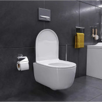 Подвесной унитаз Damixa Sirius безободковый, с сиденьем микролифт DX86C1700SC