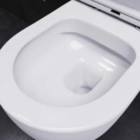 Подвесной унитаз Damixa Sirius безободковый, с сиденьем микролифт DX86C1700SC