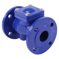 Клапан обратный шаровой DN.ru GGG50-GGG50-БНК-сп Ду50 Ру16 со сливной пробкой, чугунный D100-01576